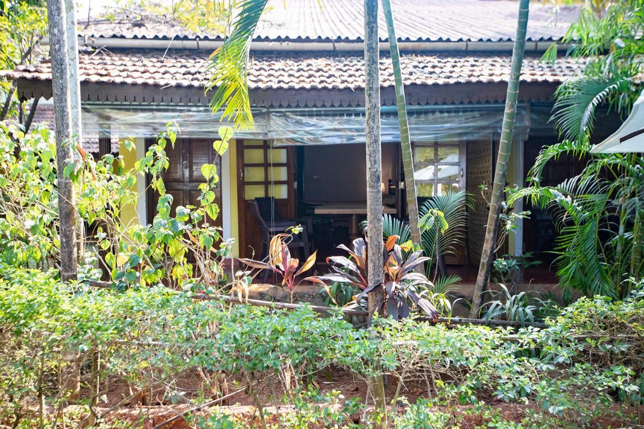 Hotel Presa Di Goa - Smith And Appy Managed Calangute Zewnętrze zdjęcie